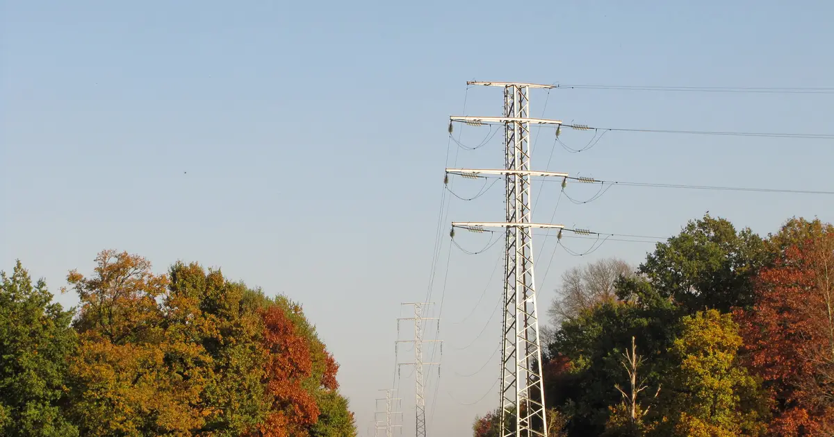 Hoogspanningsmast met stroomkabels tussen herfstbomen