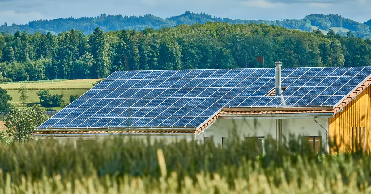 Dak met zonnepanelen zonder merkopdruk achter een graanveld, met bossen op de achtergrond
