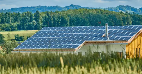 Dak met zonnepanelen zonder merkopdruk achter een graanveld, met bossen op de achtergrond